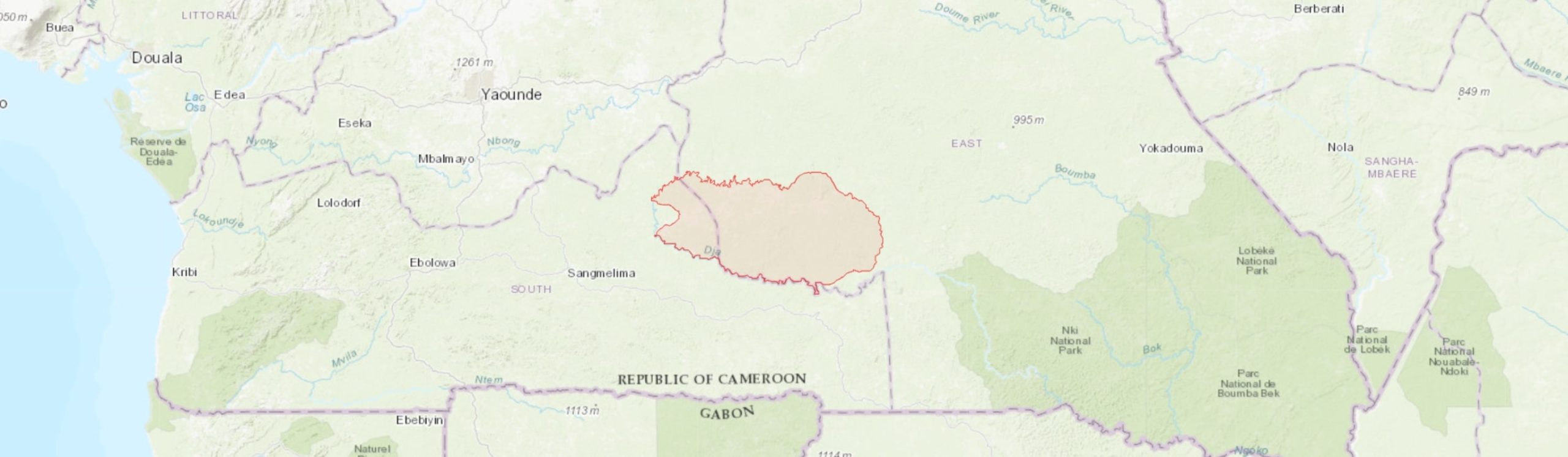 Dja Faunal reserve